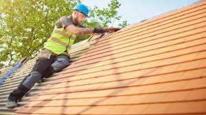Best Asphalt Shingle Roofing  in Spring Valley, MN
