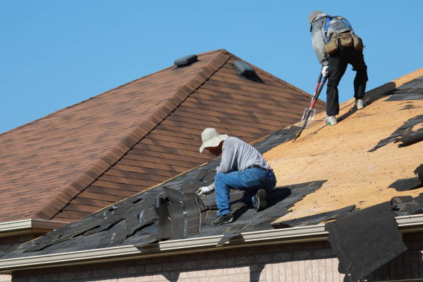 Best Chimney Flashing Repair  in Spring Valley, MN