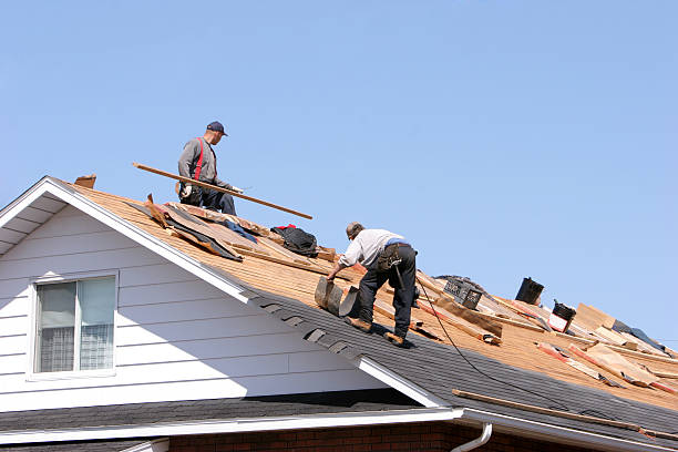 Best Solar Panel Roofing Installation  in Spring Valley, MN